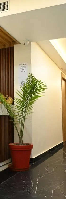 The Janki Hotel，位于Ayodhya的酒店