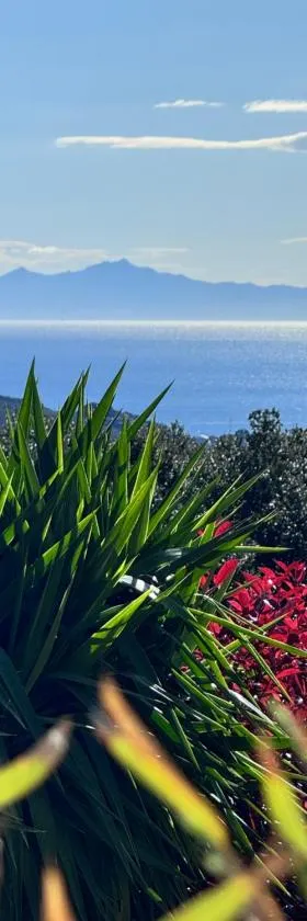 Gîte indépendant dans villa entre mer et maquis，位于Sisco的酒店