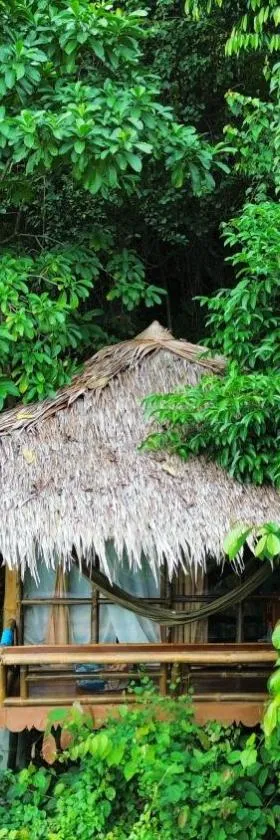 TheJungleGuide - Lodges & Treks，位于武吉拉旺的酒店