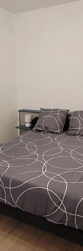 Appartement F1，位于Bas-en-Basset的酒店