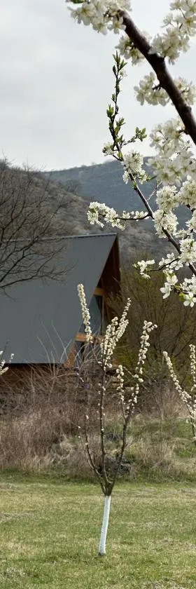 Samshvilde Hideaway，位于Daghetʼkhachʼini的酒店