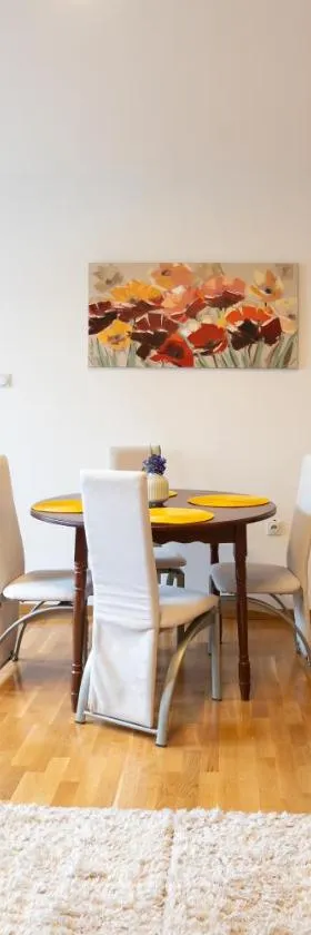 CVETIĆ apartman，位于扎耶查尔的酒店