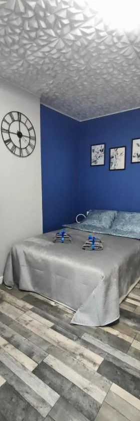 721 Slate Apartament Jedlina-Zdrój，位于耶德利纳-兹德鲁伊的酒店