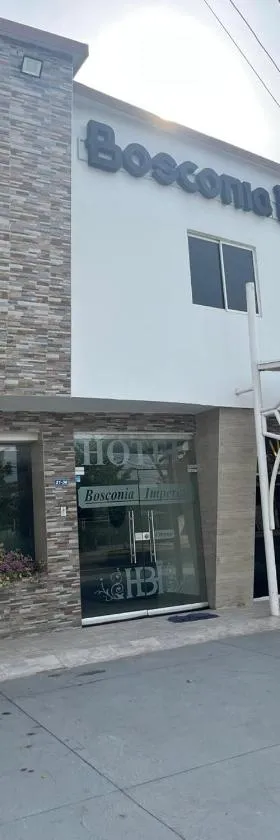 HOTEL BOSCONIA IMPERIAL，位于Bosconia的酒店