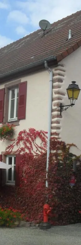 Hôtel du Haut Koenigsbourg- entre vignes et château，位于坦嫩基什的酒店