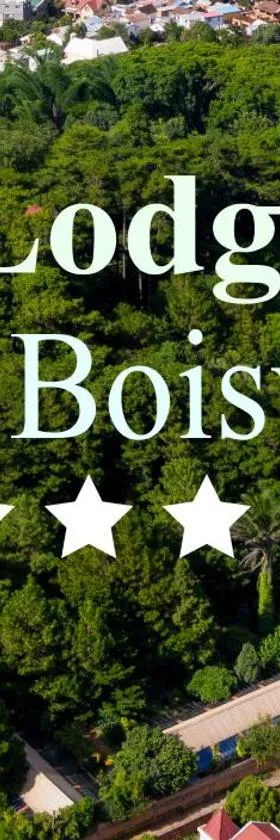 Au Bois Vert - Hôtel Ivato Airport，位于Ambohijanahary的酒店