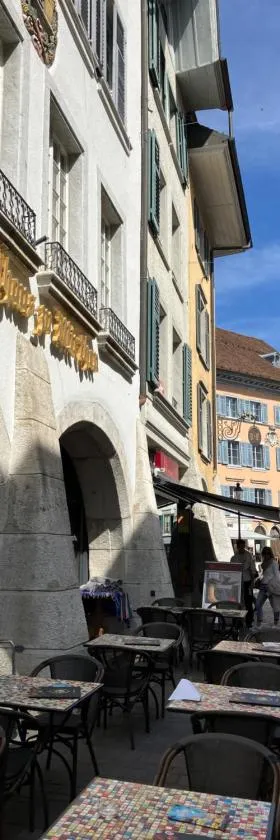 Zunfthaus zu Wirthen，位于索洛图恩的酒店
