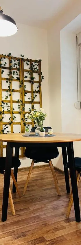 Studio Apartment Gradić，位于彼得罗瓦拉丁的酒店