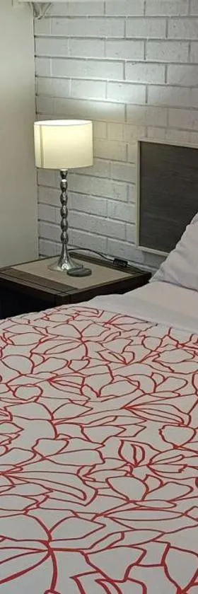 Bristol Hill Motor Inn，位于玛丽伯勒的酒店