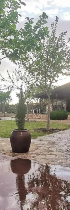 "LOS CASTILLOS" Casa Rural y espacio para eventos，位于托莱多的酒店