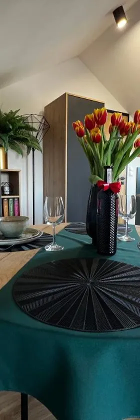 Do Brzegu Lepiej - Siedlisko Jemiołowo - Apartamenty Blisko Jeziora，位于奥尔什蒂内克的酒店