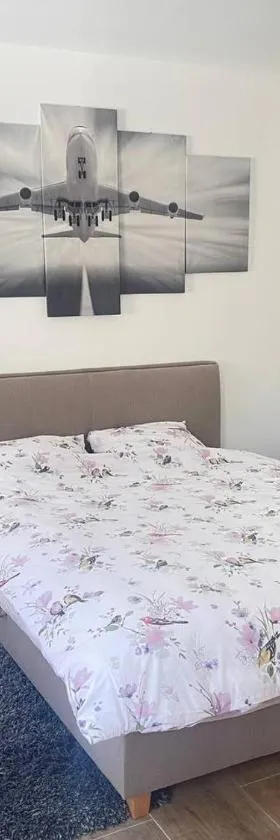 U Tonyho - Homestay Strakonice 1-kk，位于斯特拉科尼采的酒店
