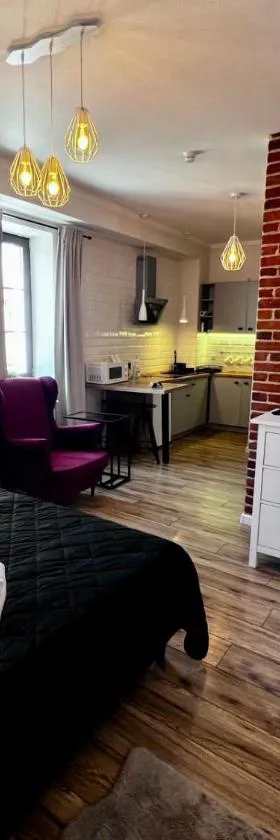 Apartamenty Łowicz，位于沃维奇的酒店