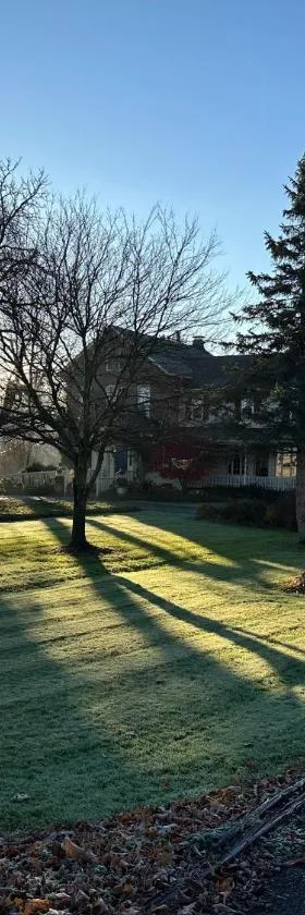 Asa Ransom House，位于Clarence的酒店