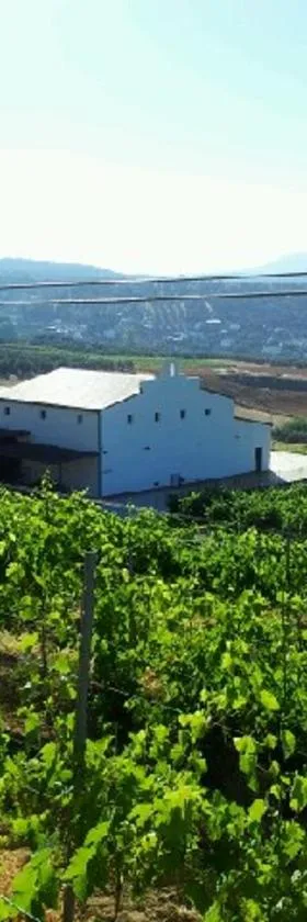 Bodegas Morosanto，位于La Cimada的酒店
