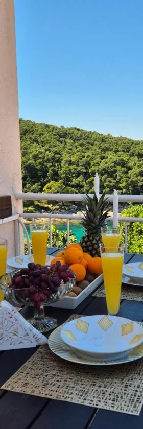 Apartman Nina，位于波斯蒂拉的酒店
