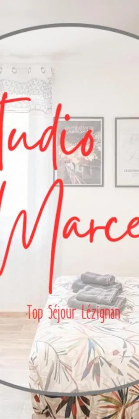 Studio Marceau Clim Wifi Centre ville 2 pers，位于莱齐尼昂科尔比埃的酒店