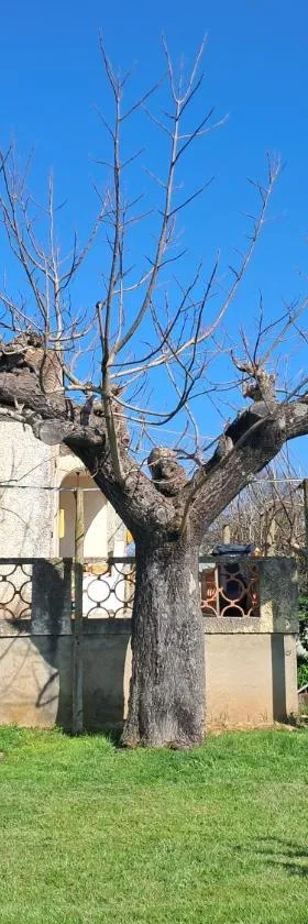 Villa proche de l Ardèche，位于Saint-Paulet-de-Caisson的酒店