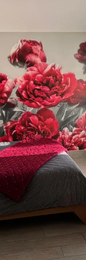 PIVOINE Chambre d hotes，位于Fralignes的酒店
