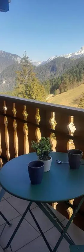 Appartement vu sur la montagne，位于Le Biot的酒店