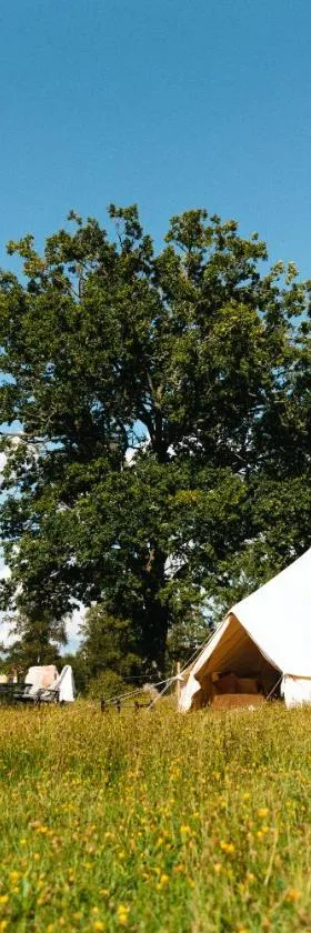 Glamping in Småland，位于埃克舍的酒店