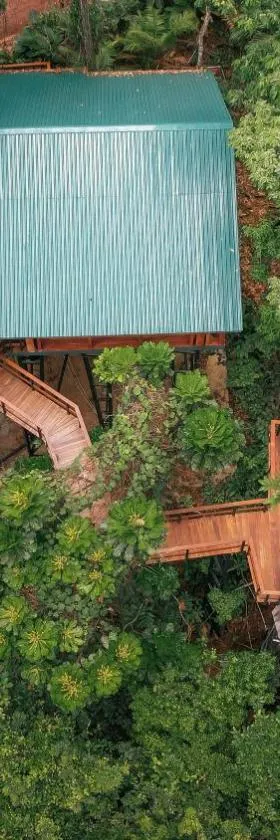 Chachagua Rainforest Hotel & Hot Springs，位于福尔图纳的酒店