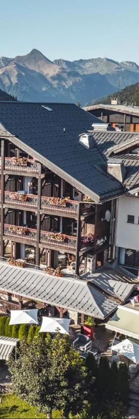 Hôtel Alpina & SPA - Restaurant Oxalis，位于莱热的酒店