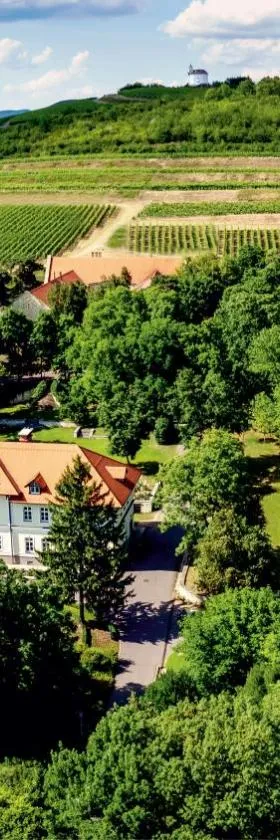 Castle Hotel Grof Degenfeld Superior，位于陶尔曹尔的酒店
