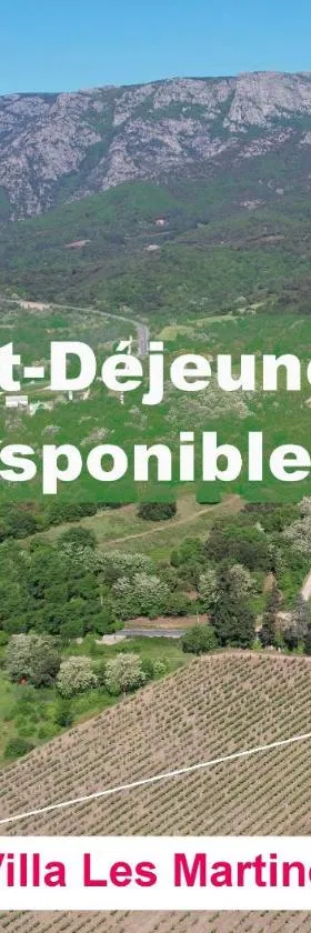 Villa Les Martinets-Piscine-Jacuzzi-Voie Verte-Gorges d'Héric-Massif du Caroux Mons Olargues 34600，位于Le Poujol-sur-Orb的酒店