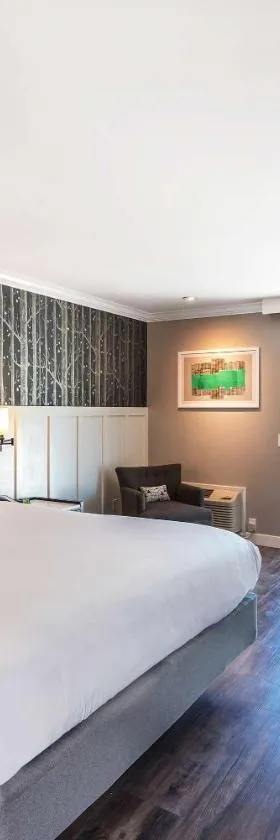 UpValley Inn & Hot Springs Napa Valley, Ascend Hotel Collection，位于卡利斯托加的酒店