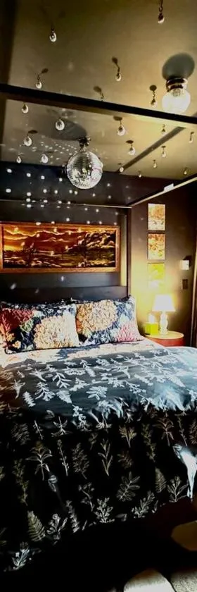 The Disco Den on Toad Road，位于Plainfield的酒店