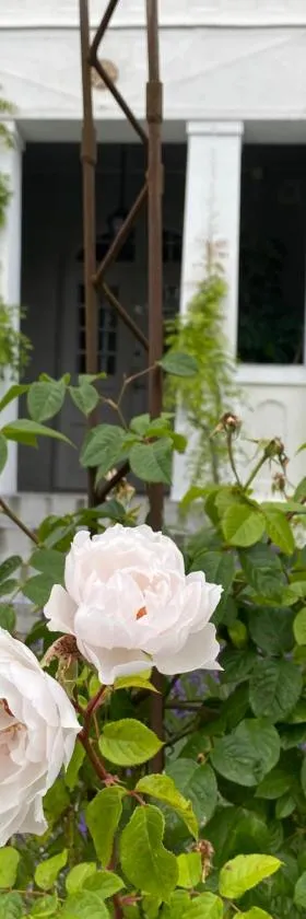 B&B Österlens RosenTrädgård，位于Glemmingebro的酒店