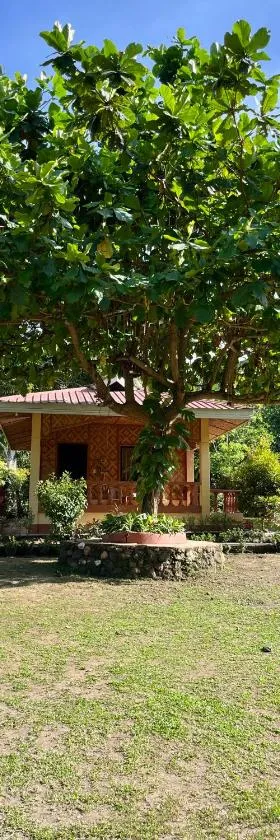 Paco's Garden Home Stay，位于曼巴豪的酒店