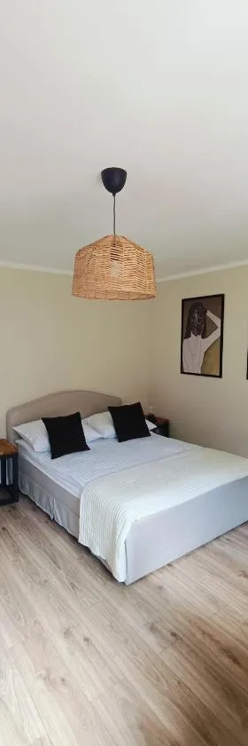 Leśne Szlaki AP Apartment's，位于耶德利纳-兹德鲁伊的酒店