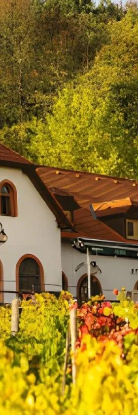 Hotel a vinařství Sádek，位于Kojetice的酒店