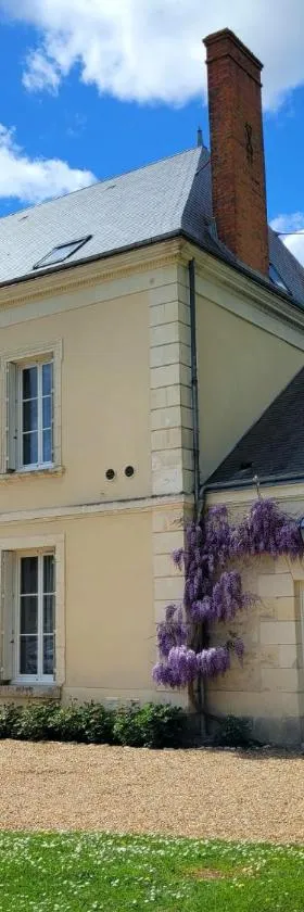 La Maison Tuffeau Bed and Breakfast，位于Génillé的酒店