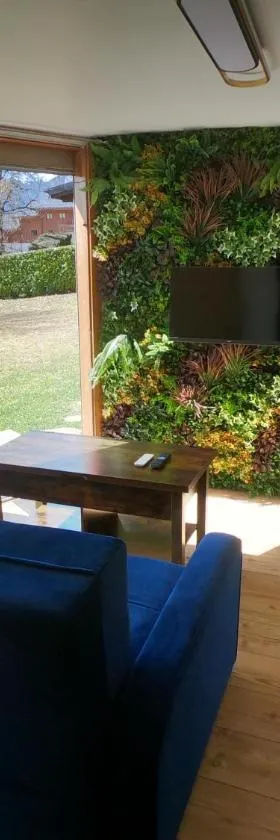 Jungle room au centre des Carroz，位于雷加霍斯达哈施的酒店