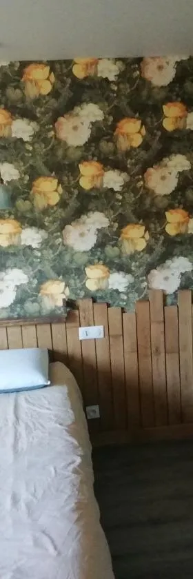 Belle villa，位于布尔德佩阿日的酒店