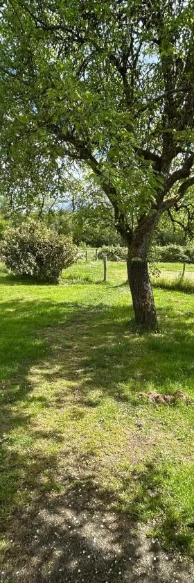 Gîte privée 1h de beauval，位于Nouan-le-Fuzelier的酒店