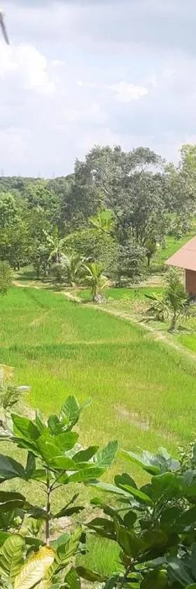 Habarana Farm Cottage，位于哈伯勒内的酒店