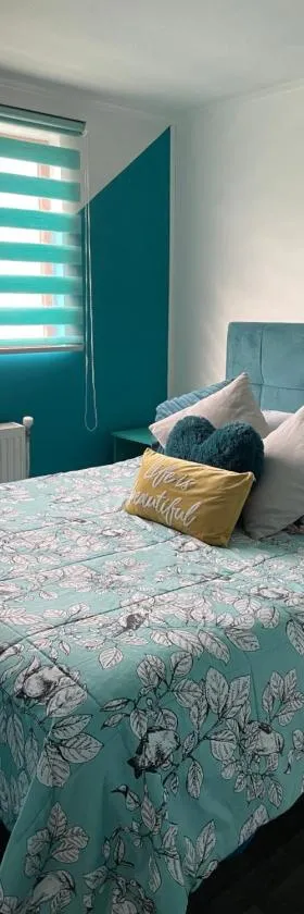 Departamento a pasos del Mall Espacio Urbano Punta Arenas，位于蓬塔阿雷纳斯的酒店