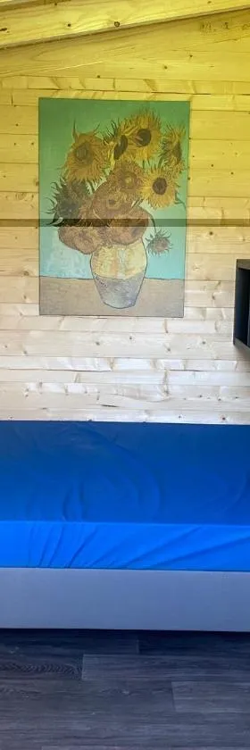 Woodland Cabin Camping de Regenboog，位于Šluknov的酒店