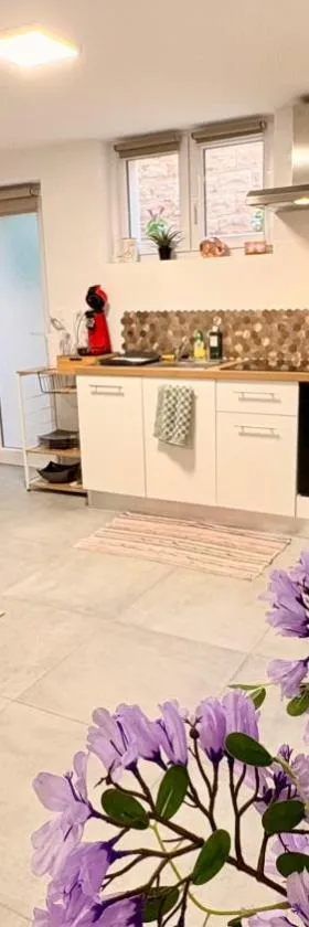 Cocon urbain , bel appartement entièrement équipé, entrée privée, parking，位于维特内姆的酒店