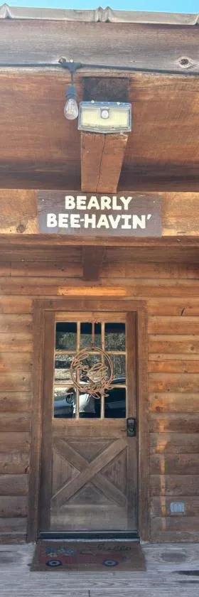 HoneyComb Hideouts Bearly BeeHavin cabin，位于康肯的酒店