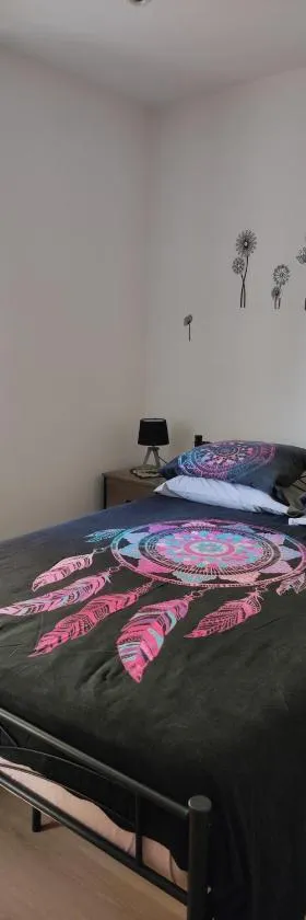 Chez Dori Chambre privée，位于Bischheim的酒店