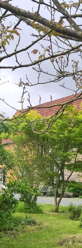 Chez Marie Roulotte，位于Pontfarcy的酒店