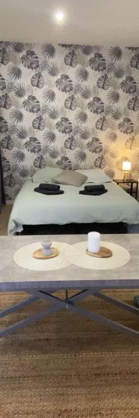 Studio Cosy - proche du centre ville，位于甘冈的酒店