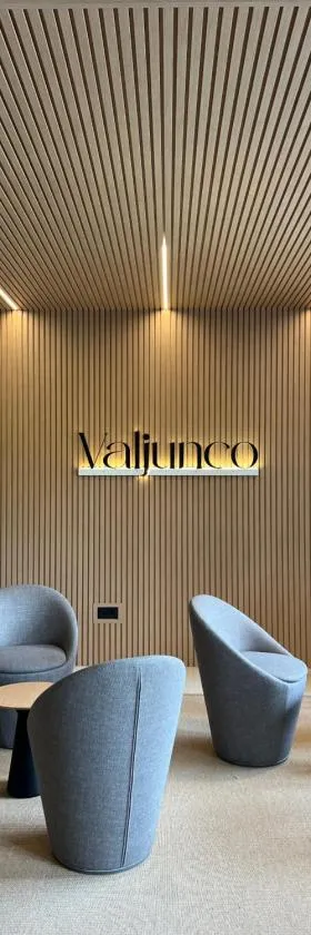 瓦珲格酒店，位于巴伦西亚德东胡安的酒店