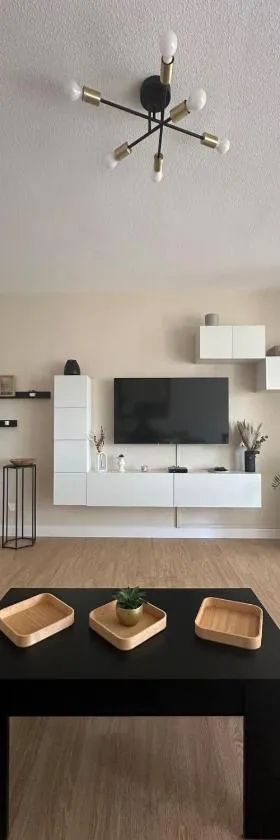 Appartement，位于罗讷河畔圣路易港的酒店