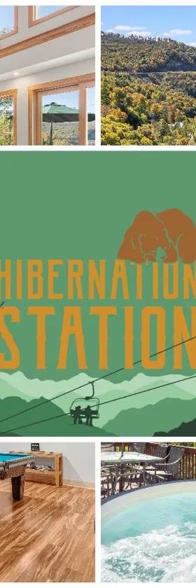 Hibernation Station - MTN Views near Asheville!，位于Swiss的酒店